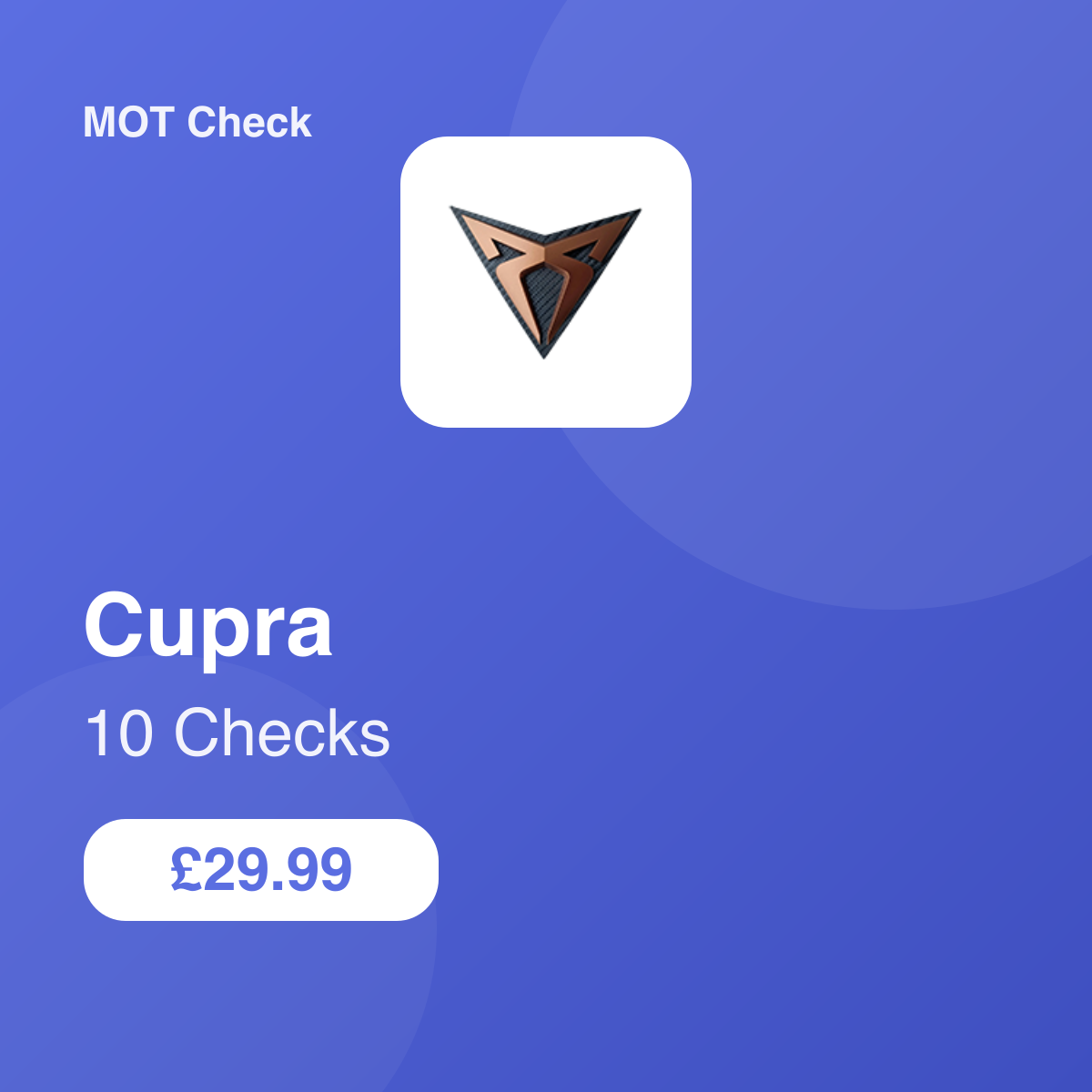 10 Cupra Checks