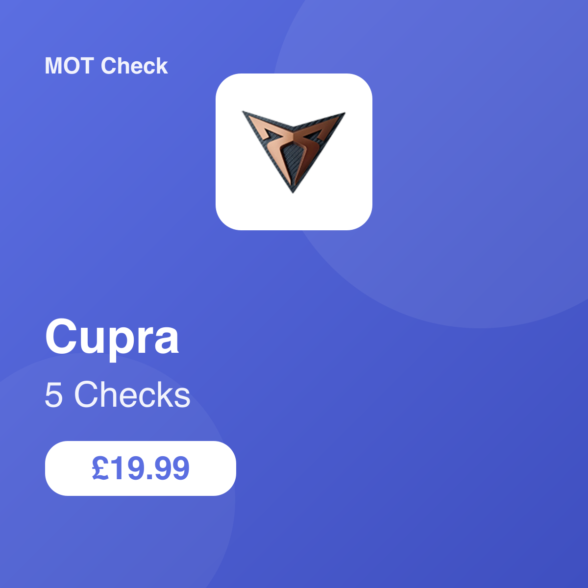 5 Cupra Checks